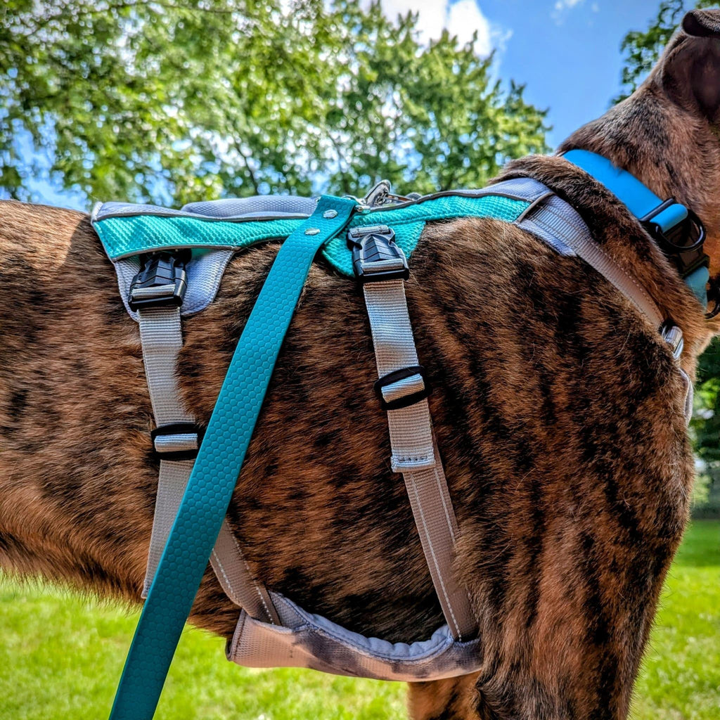 Explorer Cooling Harness - Bear & Me Outdoors