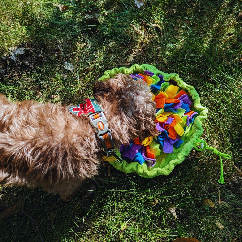 Travel Snuffle Mat - Bear & Me Outdoors