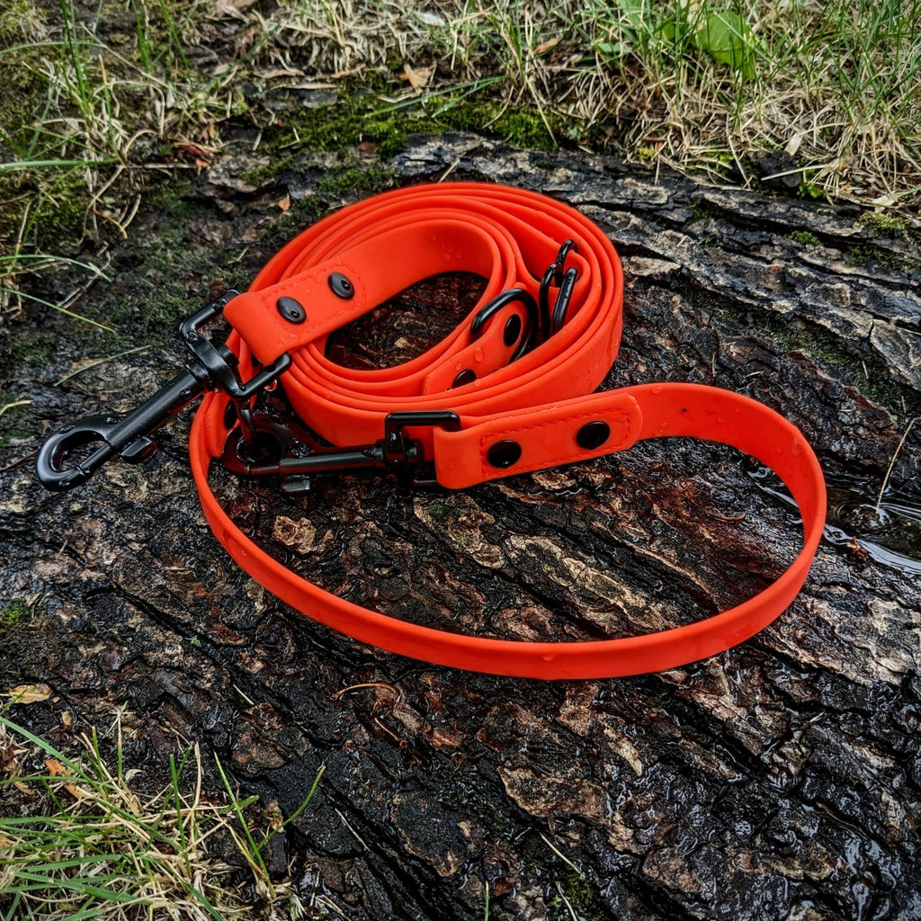 Waterproof Adjustable Leash - Bear & Me Outdoors