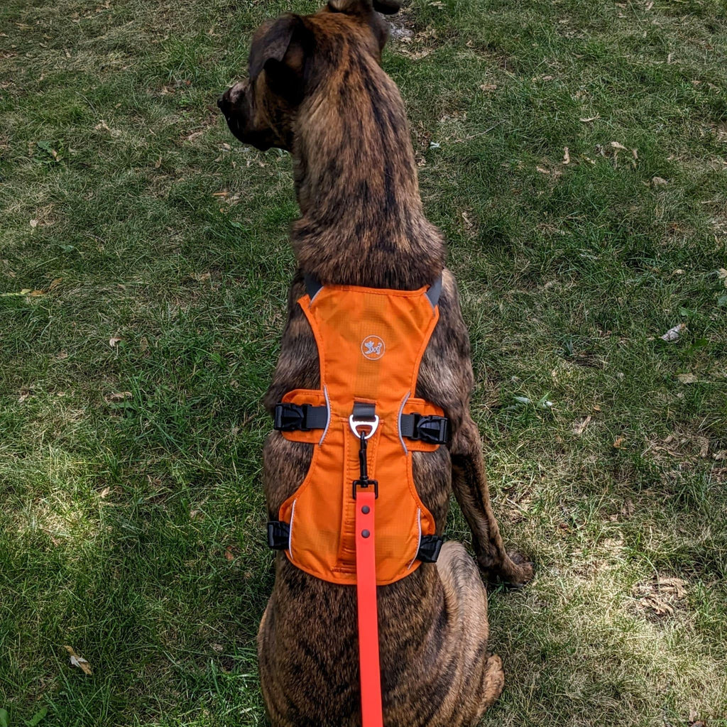 Waterproof Adjustable Leash - Bear & Me Outdoors